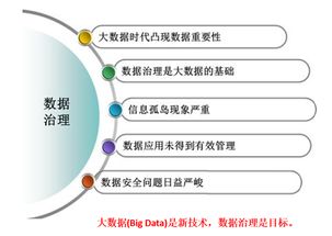 数据治理标准与服务 为政府数据做一次系统性‘体检’
