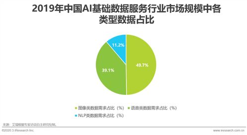 2020年中国AI基础数据服务行业发展报告 数据处理服务