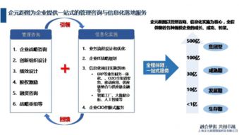 企元距图 Oracle中国首家NetSuite认证合作伙伴的数据处理服务